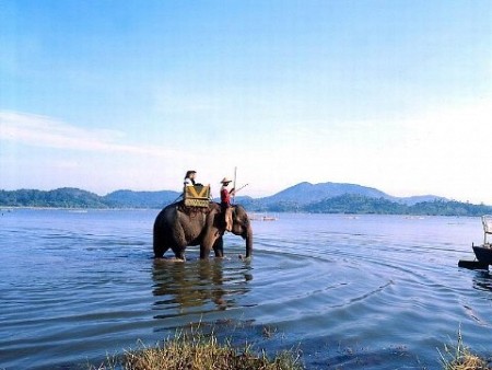 Hồ Lăk – vẻ đẹp lãng mạn, yên bình giữa đại ngàn Tây Nguyên