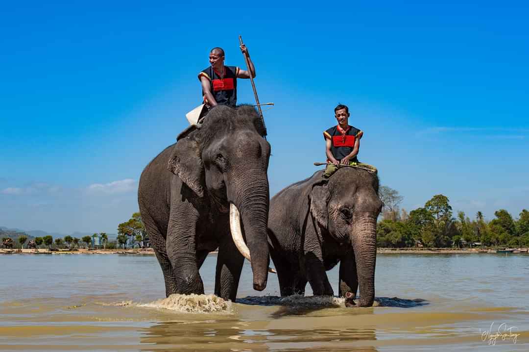 Trải nghiệm tuyệt vời cưỡi voi ở Bản Đôn - Ảnh 1 Trải nghiệm tuyệt vời cưỡi voi ở Bản Đôn - Ảnh 1