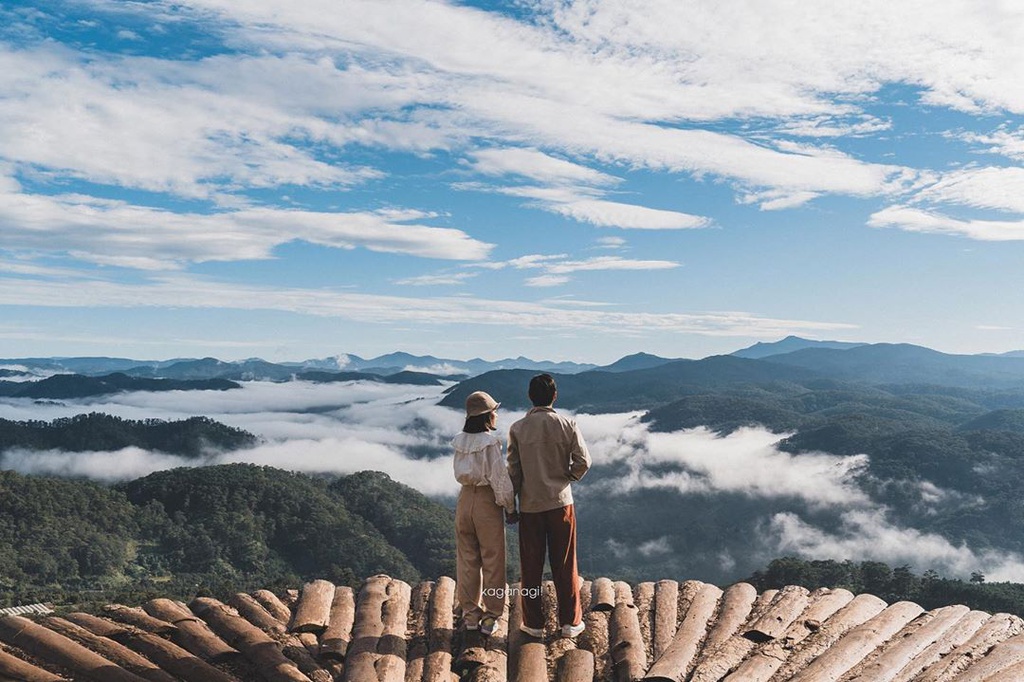 Săn mây ở đồi chè Cầu Đất - Ảnh 1