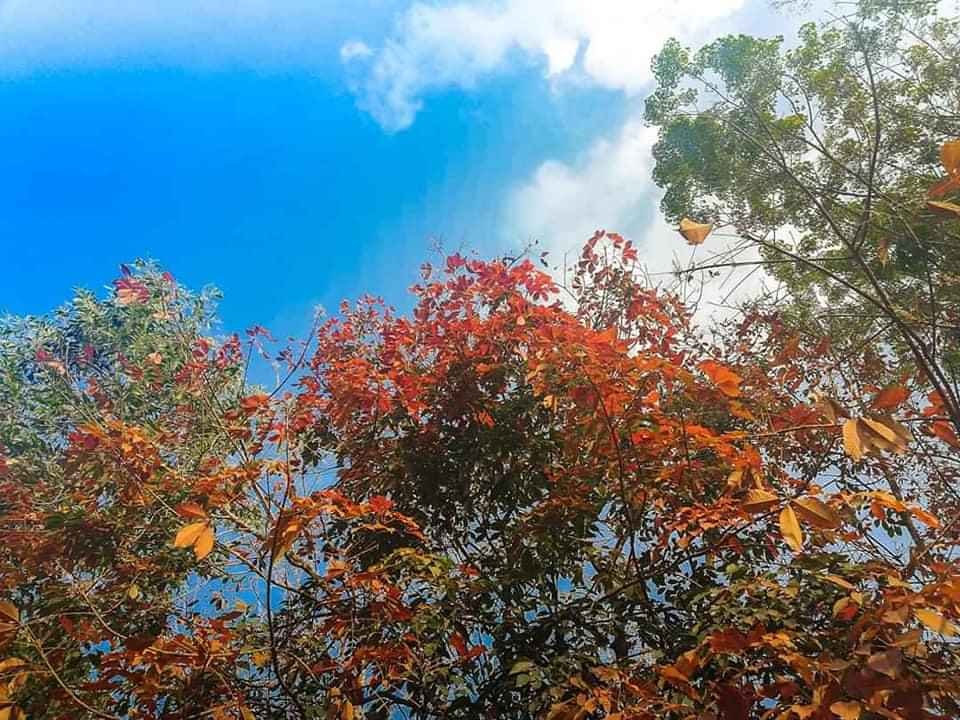 Hồ Easo – Dak Nong - Ảnh 3