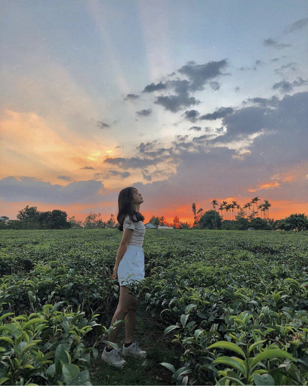 Lâm Đồng - Đồi trà xanh Bảo Lộc - Ảnh 2 Lâm Đồng - Đồi trà xanh Bảo Lộc - Ảnh 2