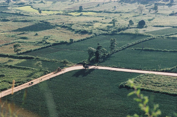 Gia Lai - Ảnh 2 Gia Lai - Ảnh 2