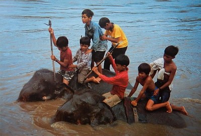 Có Một Tây Nguyên Hoàn Toàn Khác Qua Ống Kinh Người Nhật Có Một Tây Nguyên Hoàn Toàn Khác Qua Ống Kinh Người Nhật