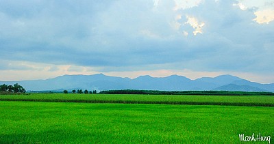 Cuộc Sống Không Vội Vã Giữa Núi Rừng Tây Nguyên Cuộc Sống Không Vội Vã Giữa Núi Rừng Tây Nguyên