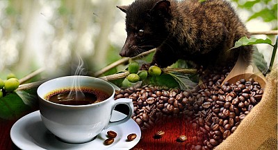 Giới Thiệu Du Lịch Dak Lak Giới Thiệu Du Lịch Dak Lak