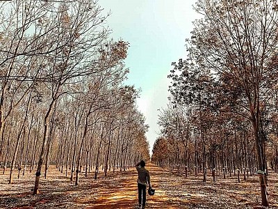 Review Lịch Trình Vivu Tây Nguyên Từ Sài Gòn Review Lịch Trình Vivu Tây Nguyên Từ Sài Gòn