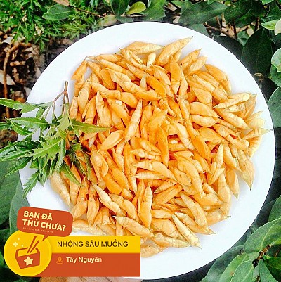 Thưởng thức món ăn kinh dị sâu Mương: Trải nghiệm ẩm thực độc đáo tại Tây Nguyên Thưởng thức món ăn kinh dị sâu Mương: Trải nghiệm ẩm thực độc đáo tại Tây Nguyên