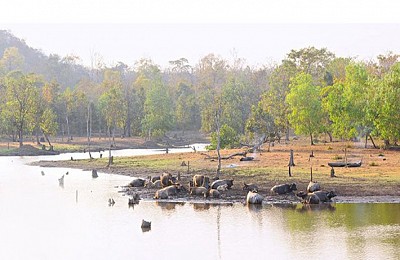 Chỉ Có Đến Tây Nguyên Mới Được Trải Nghiệm Những Điều Này Chỉ Có Đến Tây Nguyên Mới Được Trải Nghiệm Những Điều Này