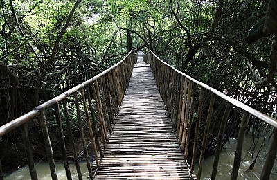 Điểm Du Lịch Buôn Ma Thuột: Cầu Treo Buôn Đôn Điểm Du Lịch Buôn Ma Thuột: Cầu Treo Buôn Đôn