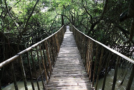 Cầu Treo Buôn Đôn