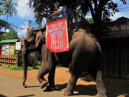 Buôn Ma Thuột Và Những Điểm Đến Hấp Dẫn