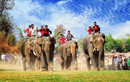 Hội Voi Đăk Lăk – Lễ Hội Buôn Đôn