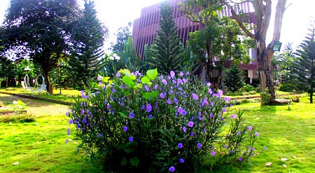 Khách Sạn Coffe Tour Resort Buôn Ma Thuột