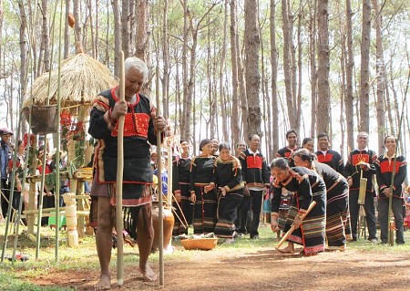 Rừng – ý nghĩa to lớn trong văn hóa Tây Nguyên Rừng – ý nghĩa to lớn trong văn hóa Tây Nguyên