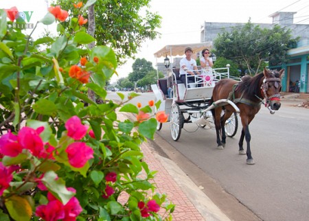Buôn Mê Thuột – Hồ Lak – Núi Đá Voi - Núi Đá Tình Yêu - Chùa Sắc Tứ Khải Đoan - Bảo Tàng Thế Giới Café | 1 ngày (VTN10)