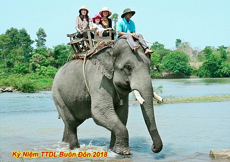 Buôn Ma Thuột – Buôn Đôn - Nhà Sàn Cổ - Trung Tâm Buôn Đôn – Thác Dray Nur | 1 ngày (VTN11)