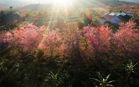 Gia Lai - Kontum – Măng Đen - Buôn Đôn – Thác Draynur - Buôn Mê Thuột