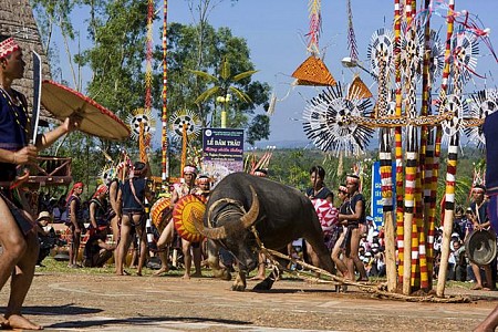 chương trình Tây Nguyên 4N3D: Buôn Ma Thuột - Pleiku - KonTum Từ Hồ Chí Minh
