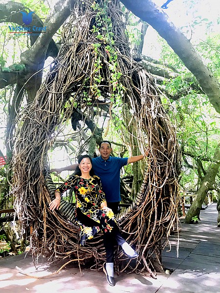 Làng cà phê  - Buôn Ako Dhong -  Hồ Lak - Núi Đá Tình Yêu - Buôn Đôn – Thác Draynur | Tết Dương Lịch 2025