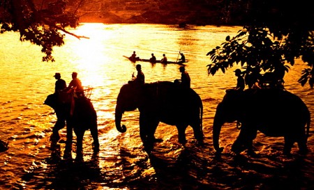 Du Ngoạm Tây Nguyên - Gia Lai - Daklak - KonTum