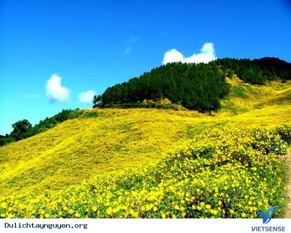 Lễ hội hoa dã quỳ ở núi lửa Chư Đăng Ya - Ảnh 1 Lễ hội hoa dã quỳ ở núi lửa Chư Đăng Ya - Ảnh 1