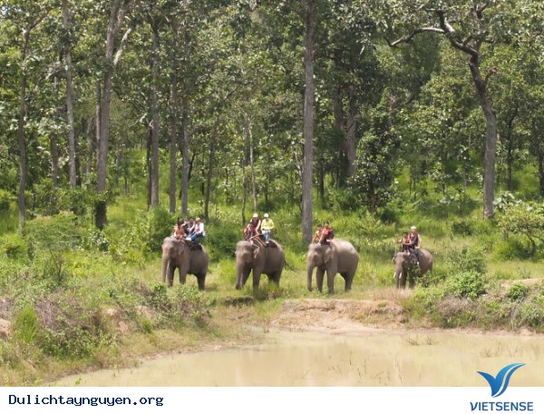 Vườn quốc gia Yok Đôn Vườn quốc gia Yok Đôn