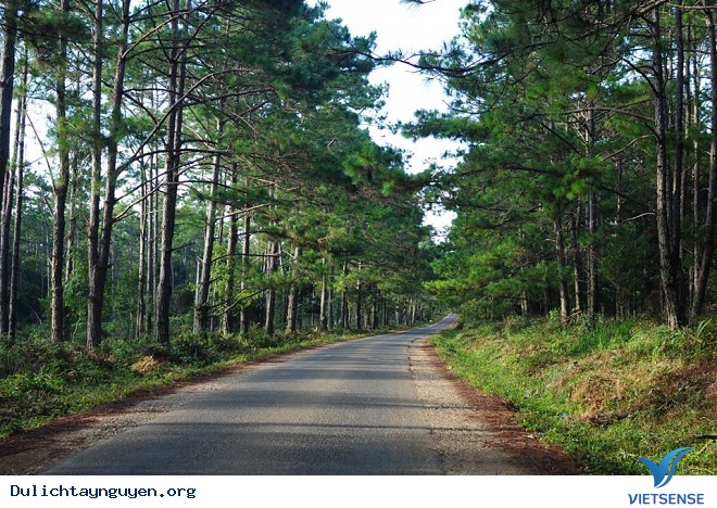 Đường lên Măng Đen – Kon Tum Đường lên Măng Đen – Kon Tum