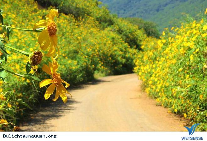 Những Điều Nên Biết Khi Đến Tây Nguyên - Ảnh 1 Những Điều Nên Biết Khi Đến Tây Nguyên - Ảnh 1