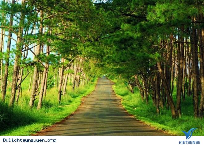 Tới Tây Nguyên Thăm Thủ Phủ Của Cây Cà Phê - Ảnh 1 Tới Tây Nguyên Thăm Thủ Phủ Của Cây Cà Phê - Ảnh 1