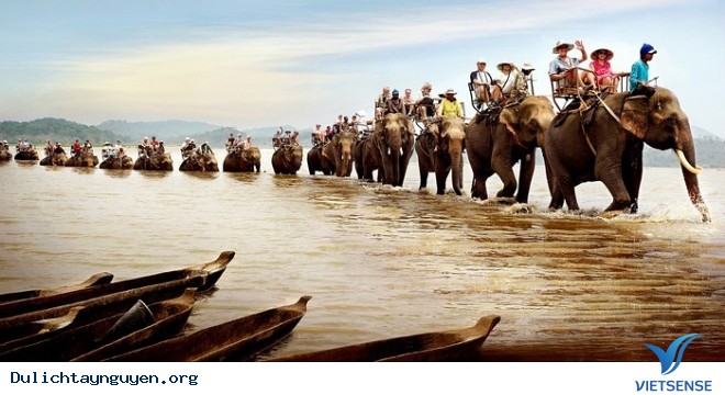 Trải Nghiệm Cưỡi Voi Ở Tây Nguyên - Ảnh 3 Trải Nghiệm Cưỡi Voi Ở Tây Nguyên - Ảnh 3