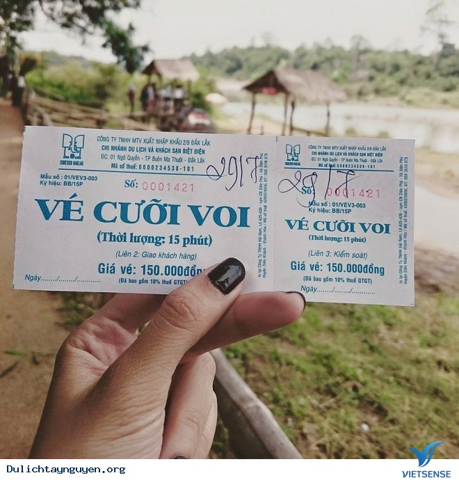 Trải Nghiệm Cưỡi Voi Ở Tây Nguyên - Ảnh 4 Trải Nghiệm Cưỡi Voi Ở Tây Nguyên - Ảnh 4