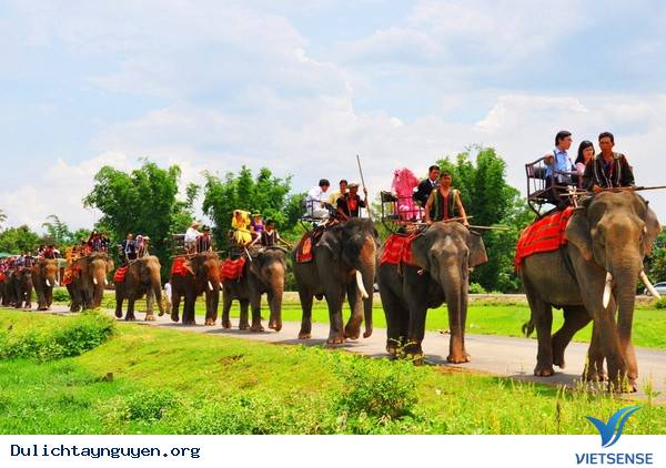 Trải Nghiệm Cưỡi Voi Ở Tây Nguyên - Ảnh 6 Trải Nghiệm Cưỡi Voi Ở Tây Nguyên - Ảnh 6