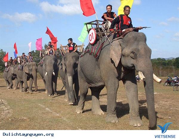 Trải Nghiệm Cưỡi Voi Ở Tây Nguyên - Ảnh 1 Trải Nghiệm Cưỡi Voi Ở Tây Nguyên - Ảnh 1