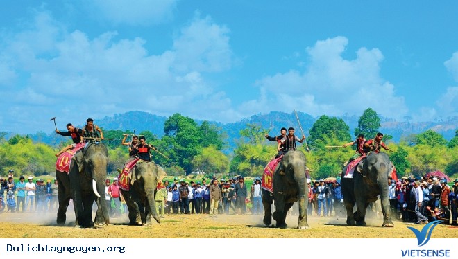 Trải Nghiệm Cưỡi Voi Ở Tây Nguyên - Ảnh 2 Trải Nghiệm Cưỡi Voi Ở Tây Nguyên - Ảnh 2