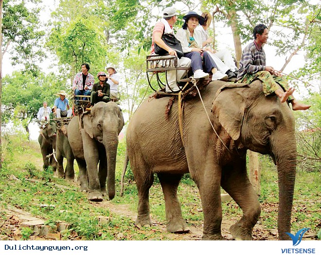 Trải Nghiệm Cưỡi Voi Ở Tây Nguyên - Ảnh 7 Trải Nghiệm Cưỡi Voi Ở Tây Nguyên - Ảnh 7