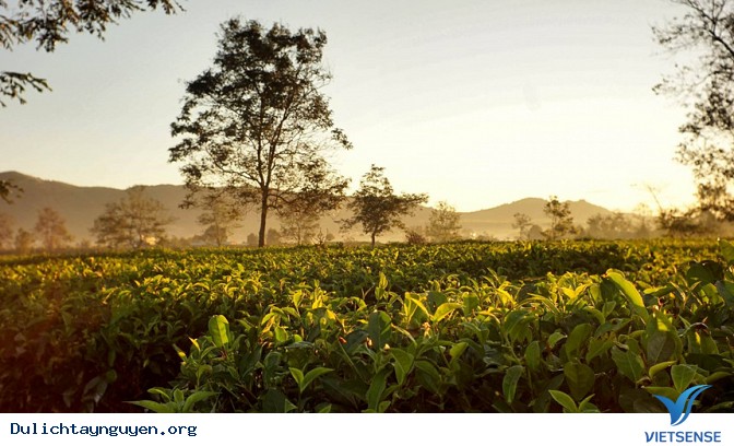 10 lý do cần đến Tây Nguyên ngay lập tức - Ảnh 6 10 lý do cần đến Tây Nguyên ngay lập tức - Ảnh 6