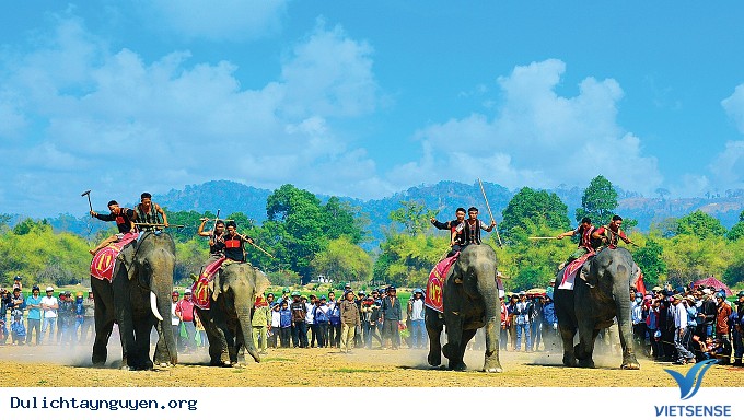 Hoạt động cưỡi voi sẽ hạn chế trong thời gian tới - Ảnh 3