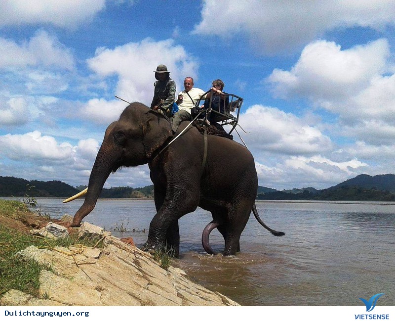 Làng voi Nhơn Hòa – Gia Lai - Ảnh 2 Làng voi Nhơn Hòa – Gia Lai - Ảnh 2