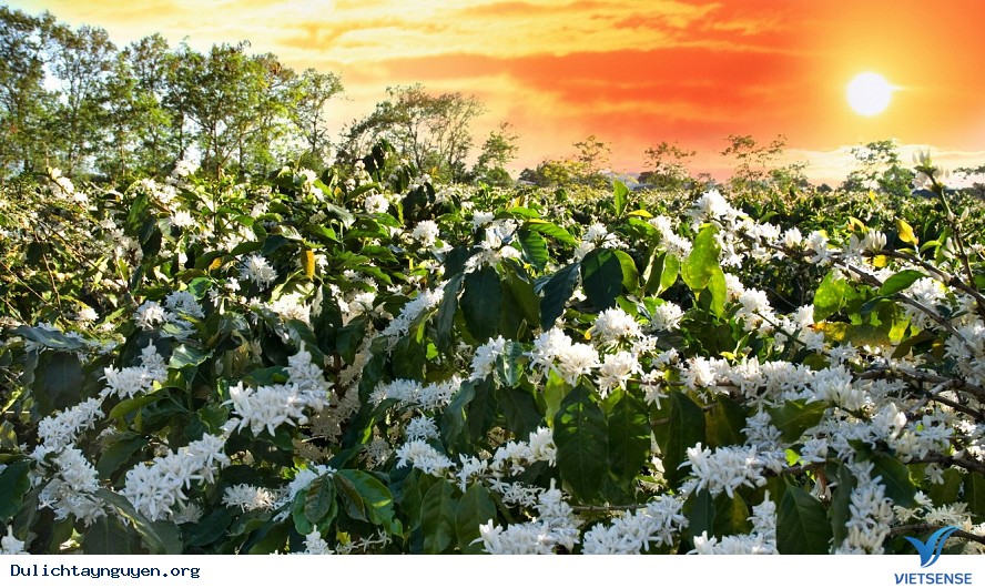 tham quan Thủy Điện Yaly, làng Pleiphun (dân tộc Jơrai)