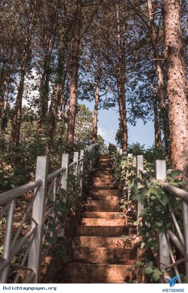 Bất ngờ trước cảnh sắc Pleiku qua ống kính của giới trẻ - Ảnh 2