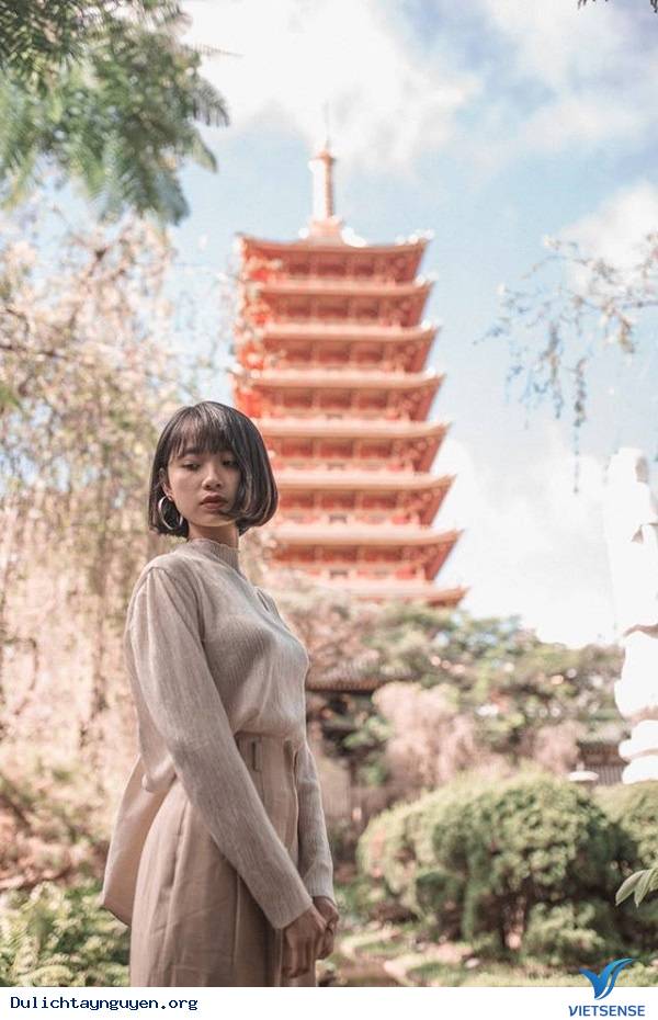 Bất ngờ trước cảnh sắc Pleiku qua ống kính của giới trẻ - Ảnh 4