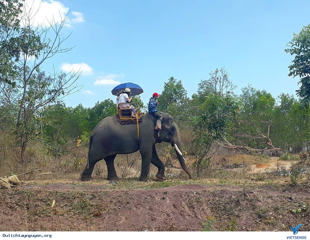 Bỏ túi nhanh 5 điểm thăm quan Buôn Ma Thuột dịp tết âm lịch 2025 - Ảnh 4