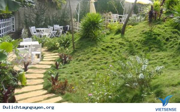 Cảm giác mạnh ngồi xích đu lơ lửng giữa không trung - Ảnh 2