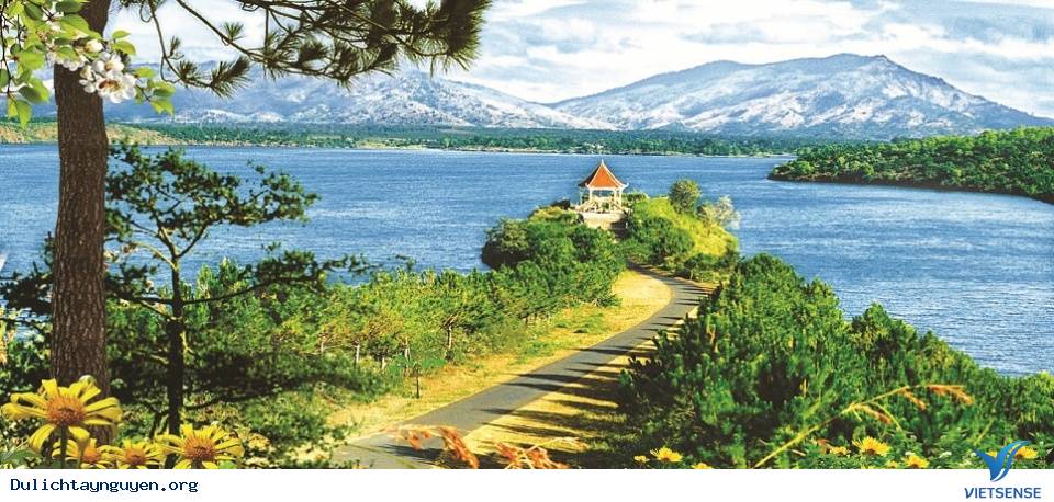 Cảnh Đẹp Tây Nguyên Mùa Hoa Cà Phê Nở - Ảnh 7