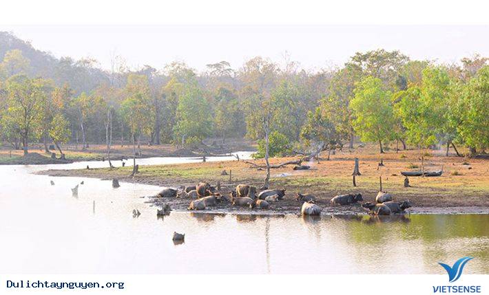 Chỉ Có Đến Tây Nguyên Mới Được Trải Nghiệm Những Điều Này - Ảnh 4 Chỉ Có Đến Tây Nguyên Mới Được Trải Nghiệm Những Điều Này - Ảnh 4