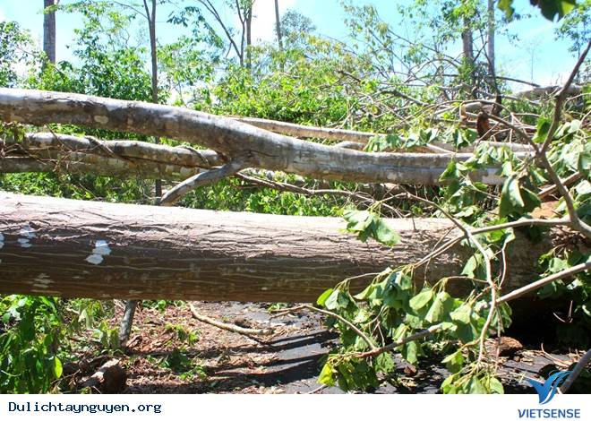 Chiêm Ngưỡng Màu Xanh Kỳ Diệu Của Ngọn Thác Gia Long Ở Đăk Lăk - Ảnh 11 Chiêm Ngưỡng Màu Xanh Kỳ Diệu Của Ngọn Thác Gia Long Ở Đăk Lăk - Ảnh 11