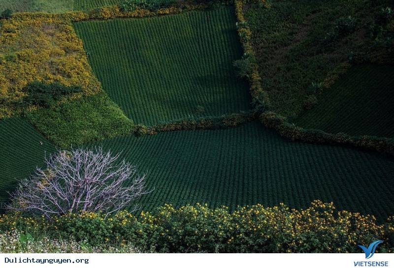 Chư Đăng Ya những ngày đầu tháng 11 - Ảnh 1