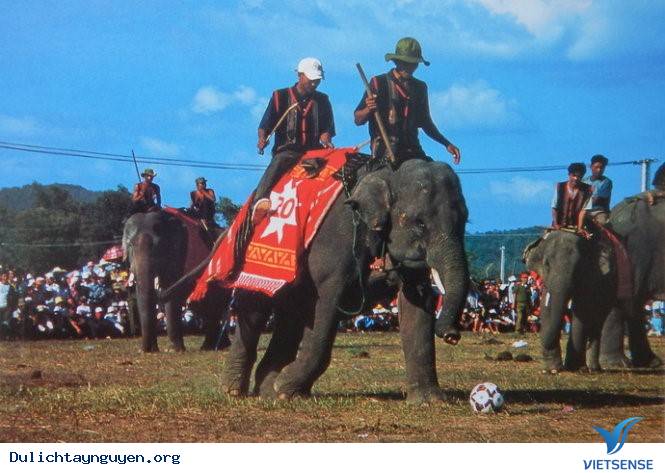 Có Một Tây Nguyên Hoàn Toàn Khác Qua Ống Kinh Người Nhật - Ảnh 3