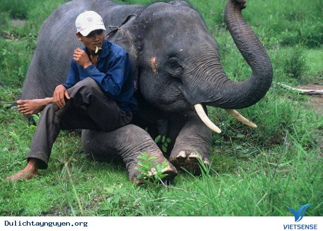 Có Một Tây Nguyên Hoàn Toàn Khác Qua Ống Kinh Người Nhật - Ảnh 1