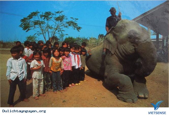 Có Một Tây Nguyên Hoàn Toàn Khác Qua Ống Kinh Người Nhật - Ảnh 2